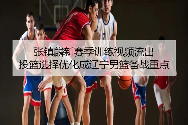 张镇麟新赛季训练视频流出 投篮选择优化成辽宁男篮备战重点