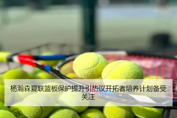 杨瀚森夏联篮板保护提升引热议开拓者培养计划备受关注